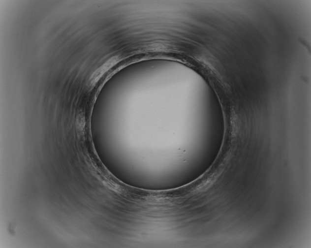 X0000103421065200809121302