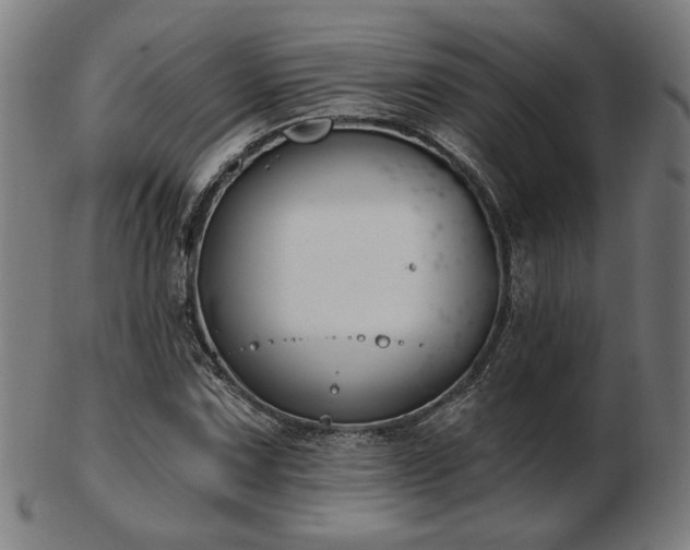 X0000103421067200809121302