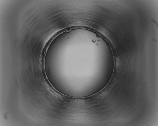 X0000103421068200809121302