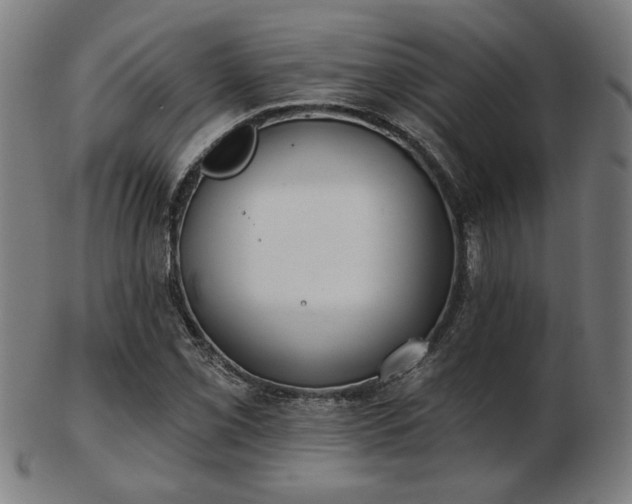 X0000103421069200809121302