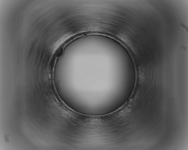 X0000103421070200809121302