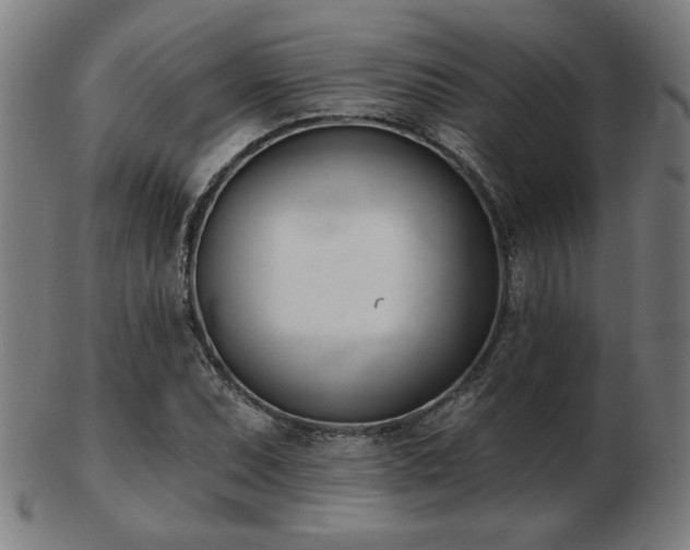 X0000103421071200809121302