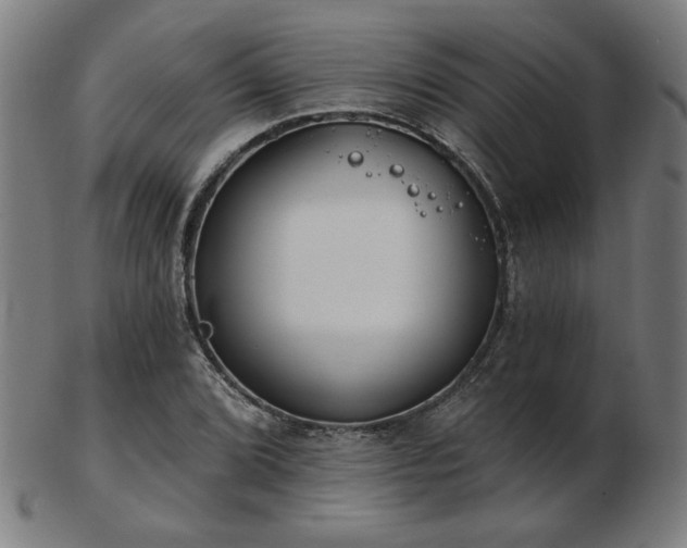 X0000103421072200809121302