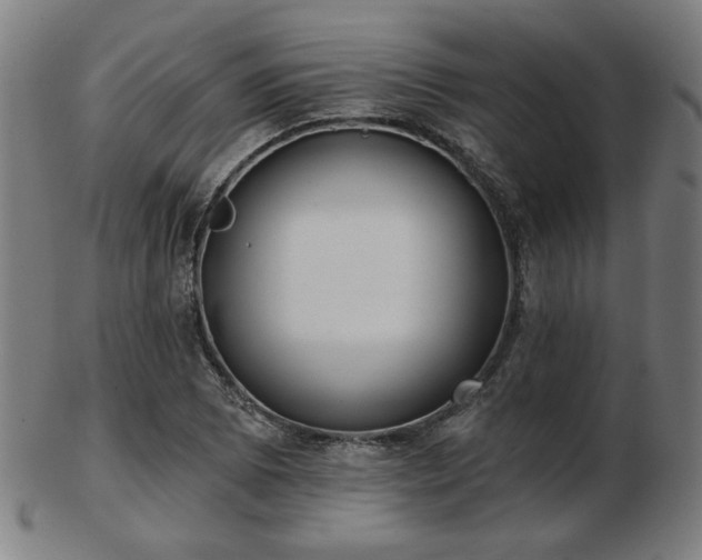 X0000103421073200809121302
