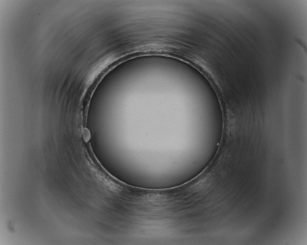 X0000103421075200809121302