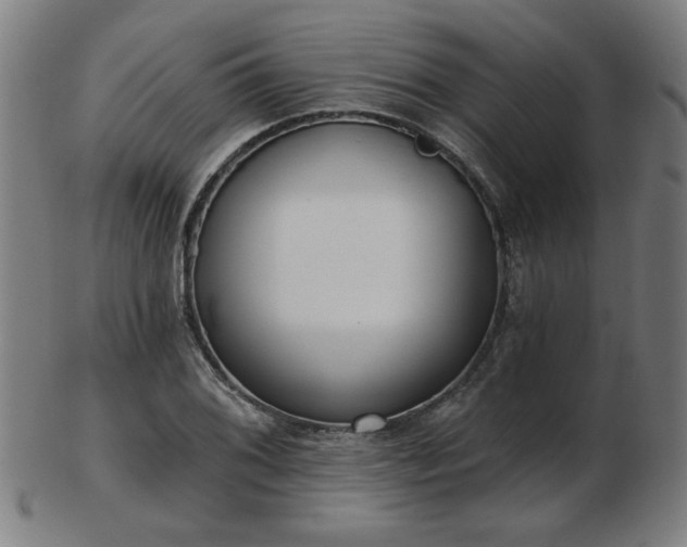 X0000103421076200809121301
