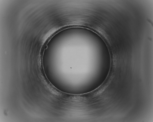 X0000103421077200809121301
