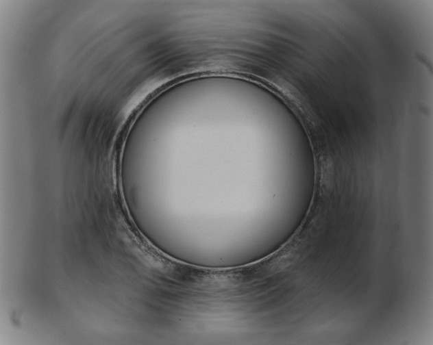 X0000103421078200809121301