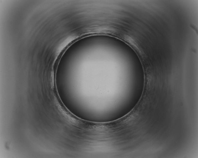 X0000103421079200809121301