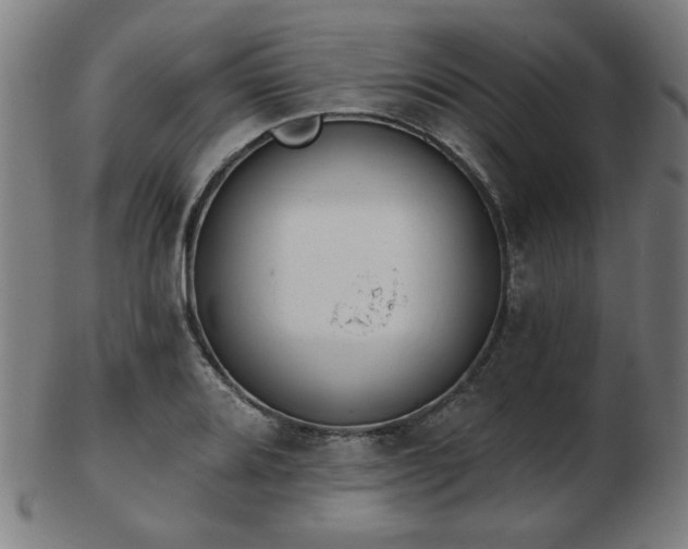 X0000103421080200809121301