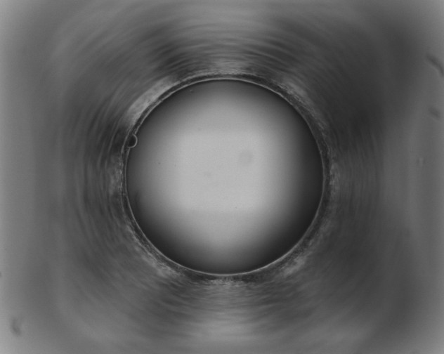 X0000103421081200809121301