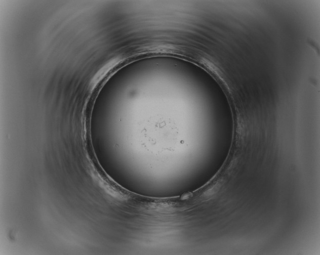 X0000103421082200809121301