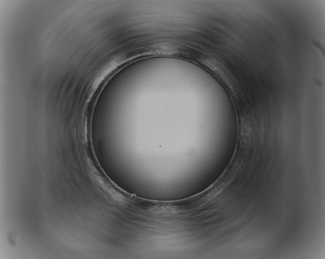 X0000103421083200809121301