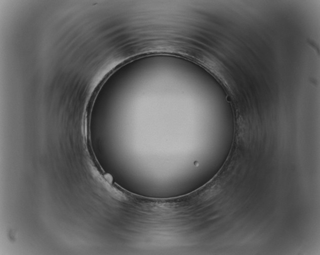 X0000103421084200809121301