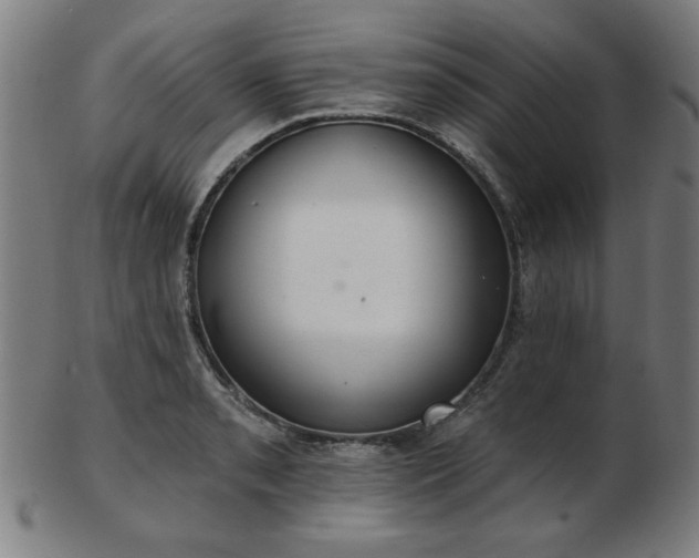 X0000103421085200809121301