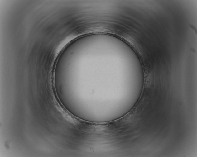 X0000103421086200809121301