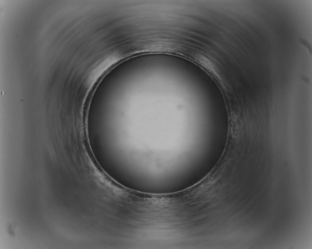 X0000103421087200809121301
