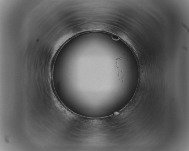 X0000103421088200809121301