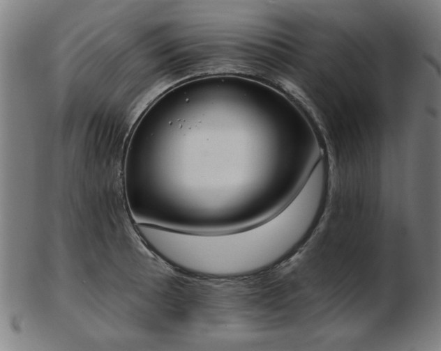 X0000103421089200809121301