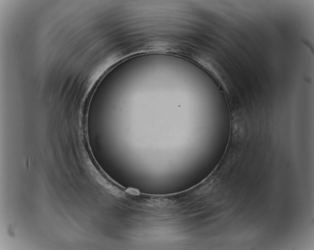 X0000103421091200809121301