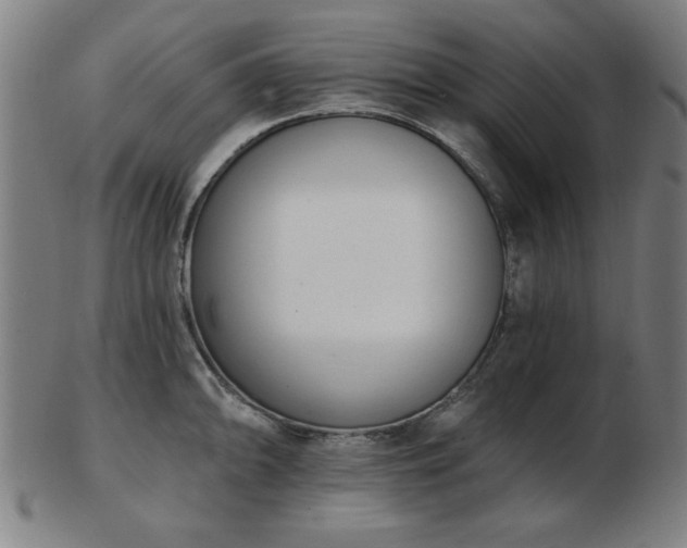 X0000103421094200809121301
