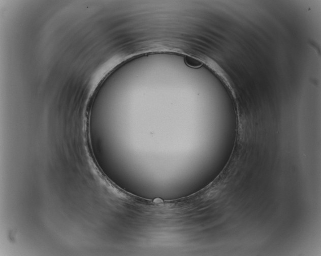 X0000103421096200809121301