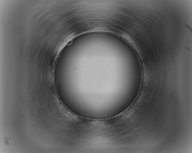 X0000103421097200809121301
