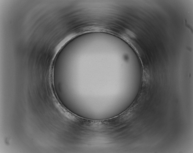 X0000103421098200809121301