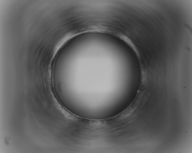 X0000103421099200809121301