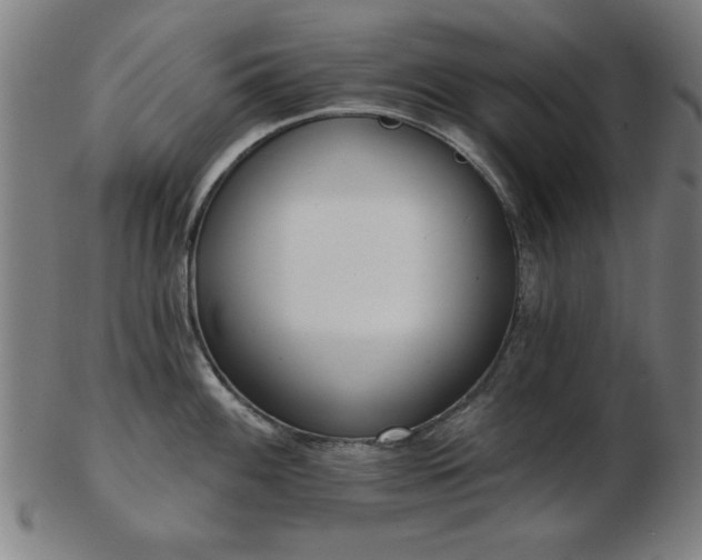 X0000103421100200809121301