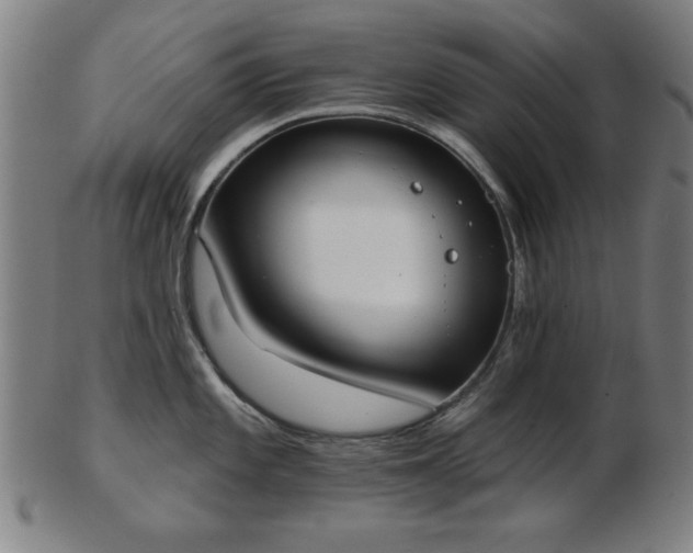 X0000103421101200809121301