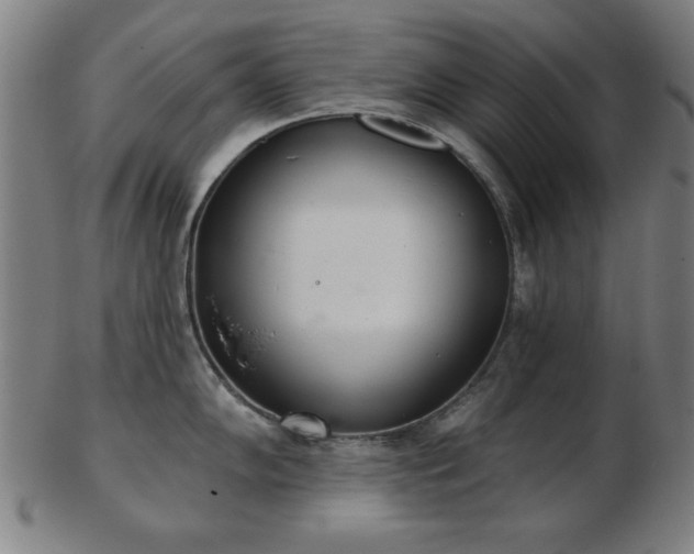 X0000103421102200809121301