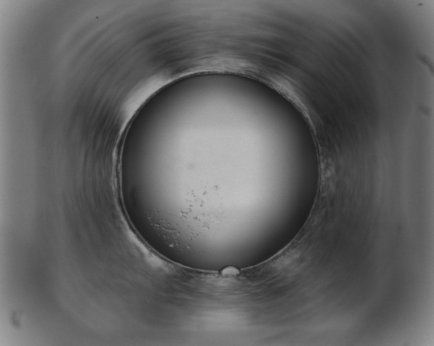 X0000103421103200809121301