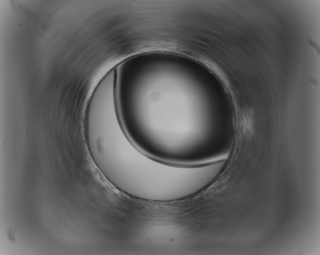 X0000103421104200809121301