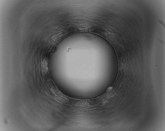 X0000103421106200809121300