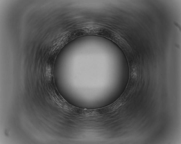 X0000103421108200809121300