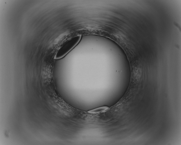 X0000103421110200809121301