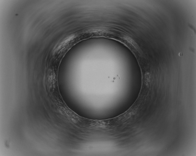 X0000103421111200809121301