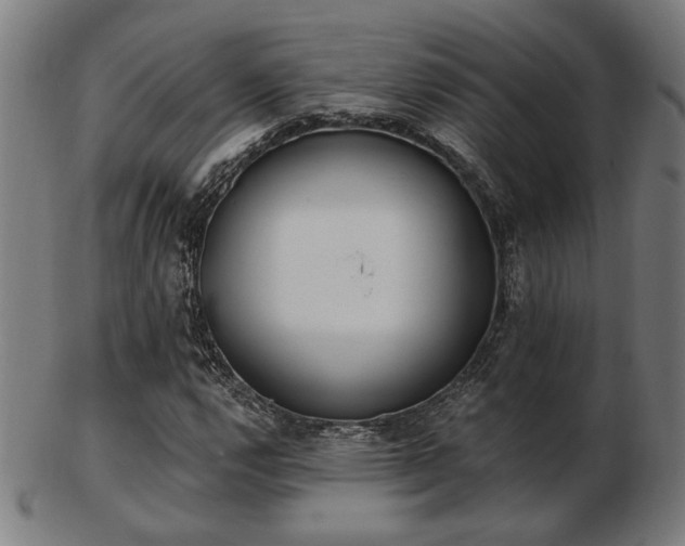 X0000103421112200809121301
