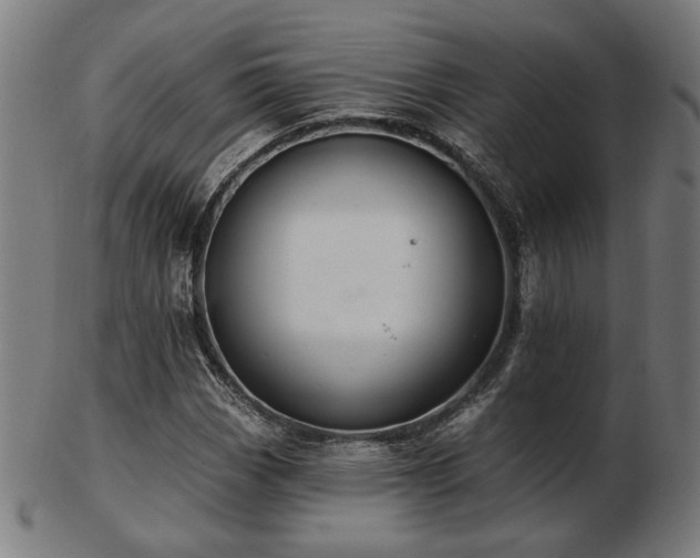 X0000103421113200809121301