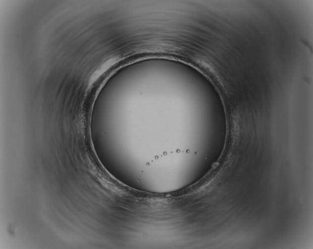 X0000103421114200809121301