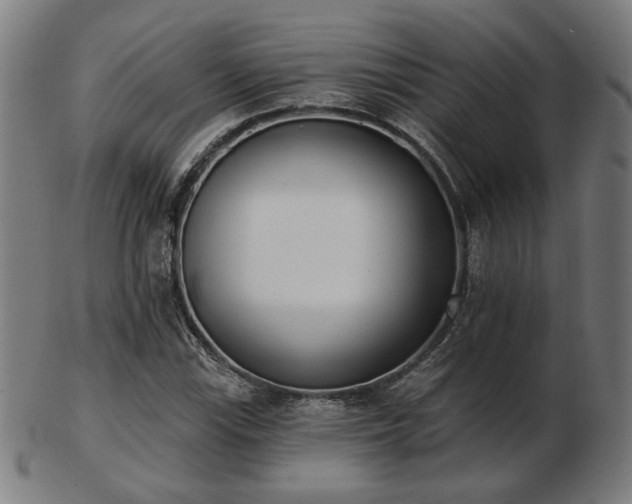 X0000103421115200809121301