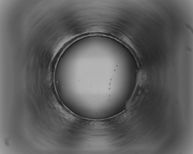 X0000103421116200809121301