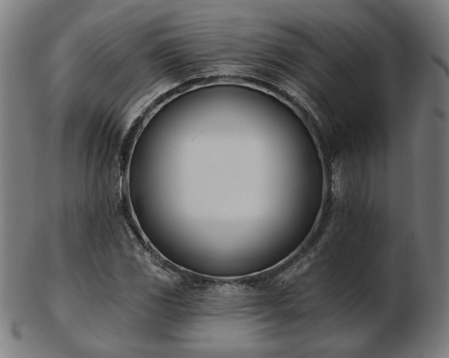 X0000103421117200809121301