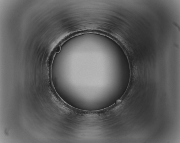 X0000103421118200809121301