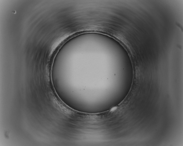 X0000103421120200809121301