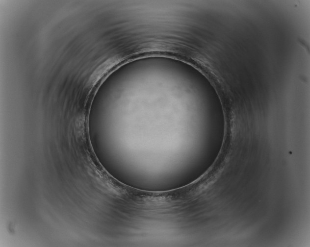 X0000103421121200809121301