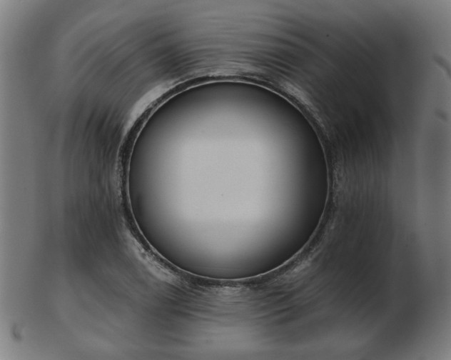 X0000103421122200809121301
