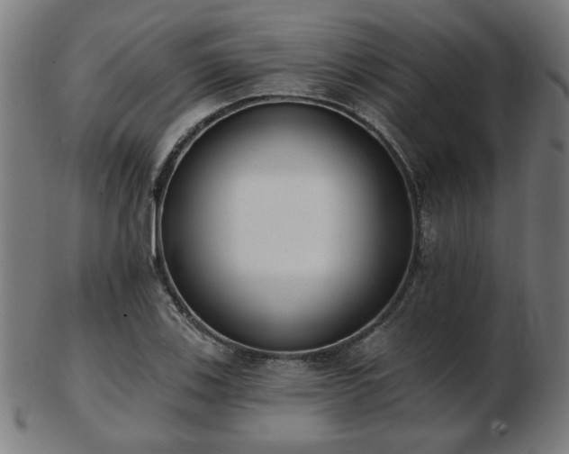 X0000103421123200809121301