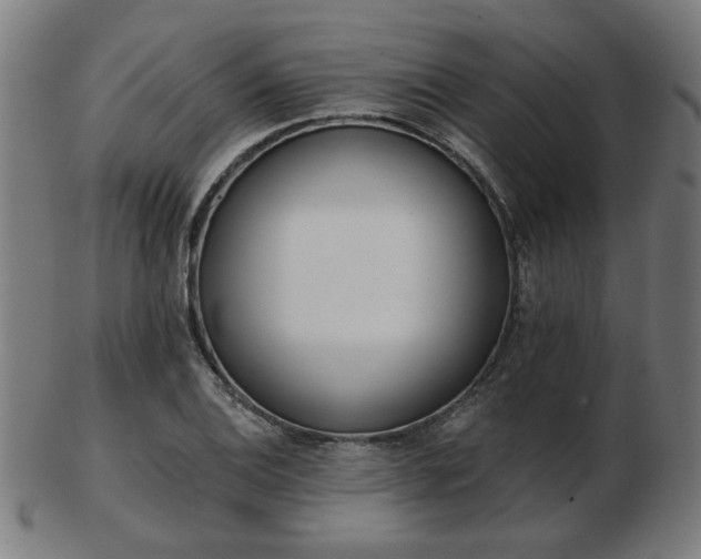 X0000103421124200809121301